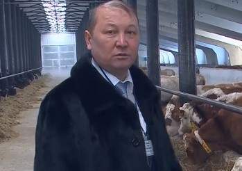 Обещанного три года ждут