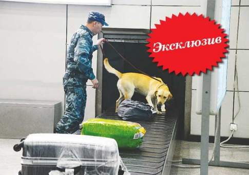 Улётный рейс