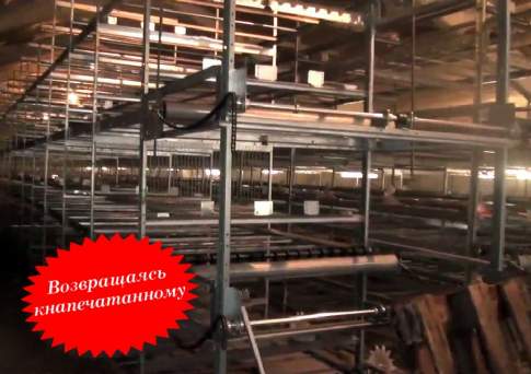 Фабрика грёз