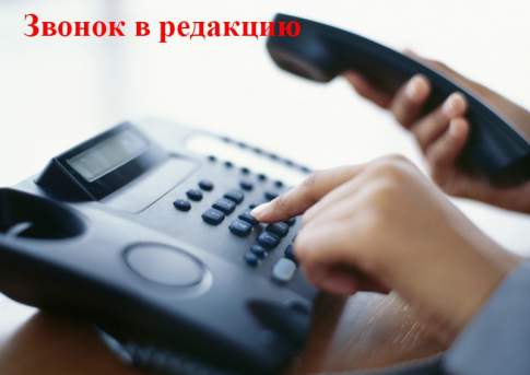 Не рубите дерева